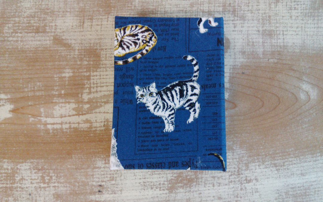 71 どら猫観察記