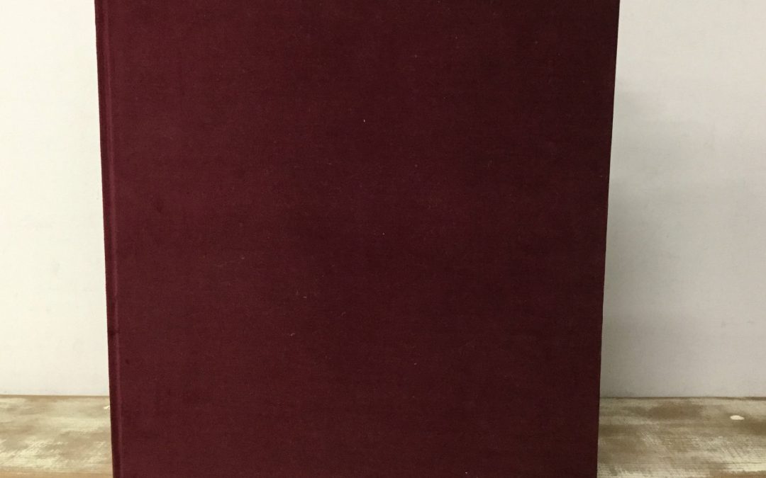 52 Untitled piggy bank（題名のない貯金箱）