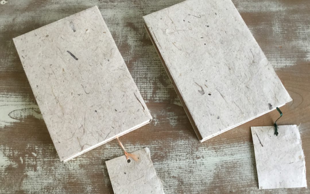 76 自由研究「金付け」途中報告