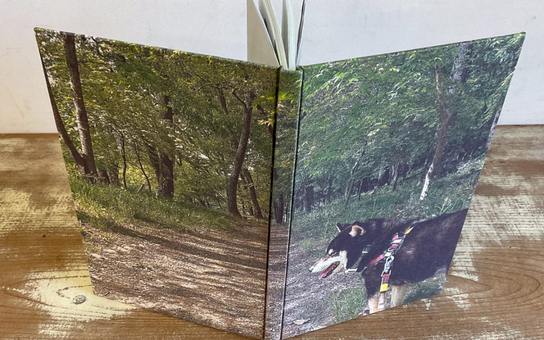 013 私の好きな景色